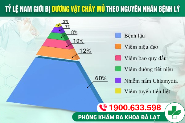 Hình ảnh minh họa